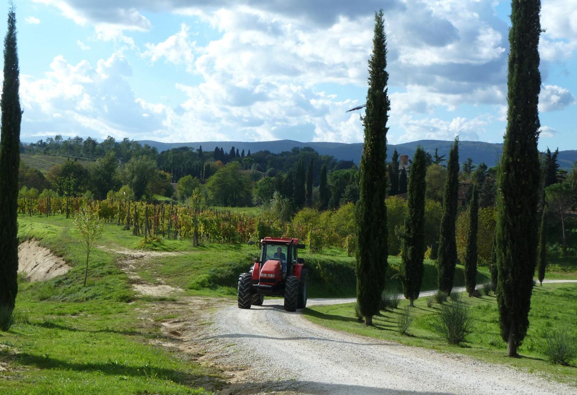 Agriturismo La Grotta Di Montecchino Siena Exterior foto
